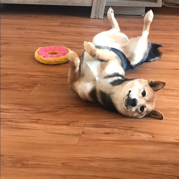 🌟👑New listings & PRICE DROPS👑🌟 - Picture 1 of 7